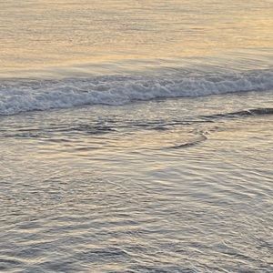 Meet your Posher, Samar